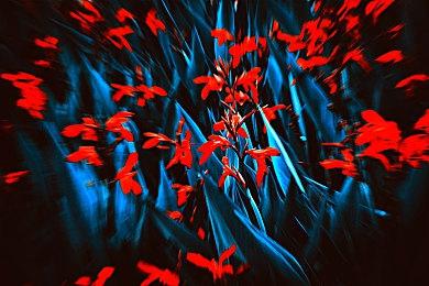 冒险游戏《九龙诡录2》 Steam页面上线 发售日期待定